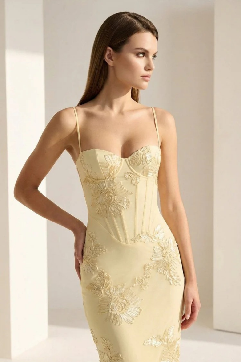 Prom Maxi Dress Lace-Up Back Elegant Style